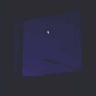 Luca Profile