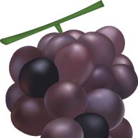 Grape (@budouj3) 's Twitter Profile Photo Grape (@budouj3) 's Twitter Profile Photo