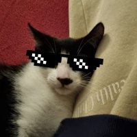 Random Hull City fan (@unluckycityfan) 's Twitter Profile Photo Random Hull City fan (@unluckycityfan) 's Twitter Profile Photo