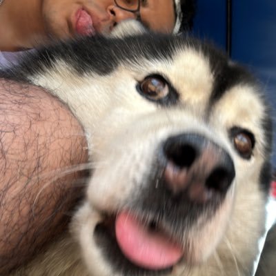 sebhb_'s profile picture. solo lanzo pensamientos de mi realidad un poquito alterada