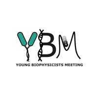 YoungBiophysicistsMeeting (@youngbiophymeet) 's Twitter Profile Photo YoungBiophysicistsMeeting (@youngbiophymeet) 's Twitter Profile Photo