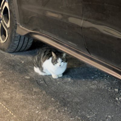 wcgeiork's profile picture. 