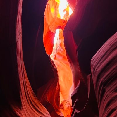 eva271382448705's profile picture. 