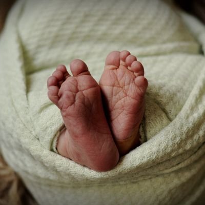 ToTheJLR's profile picture. Honestly, if I were two-faced, would I be showing you this one?