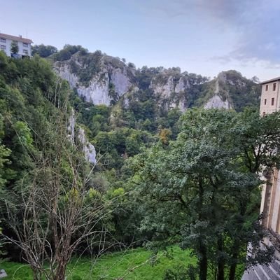 p81352288's profile picture. Vecino de San Sebastián de los Reyes