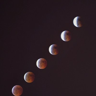 zhoujie52229925's profile picture. 脚本小子