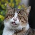 People With Cat Pfps Saying Retarded Shit (@retardedcatpfps) Twitter profile photo People With Cat Pfps Saying Retarded Shit (@retardedcatpfps) Twitter profile photo