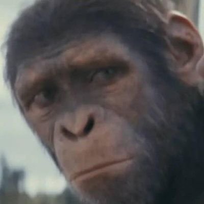 SibusisoSofoh's profile picture. excuse tha broke me