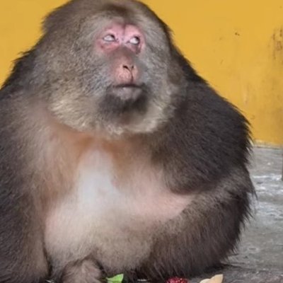 passiflorx's profile picture. sem compromisso nenhum com essas realidades

ela/ele/minha grande gostosa