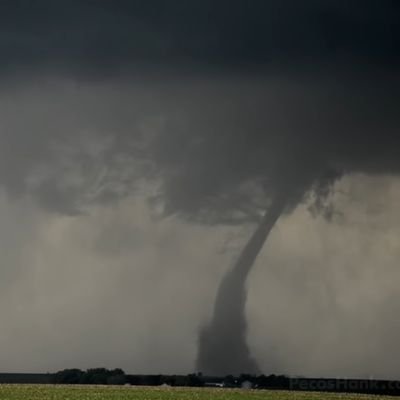 Jpaulbio's profile picture. 🇺🇲