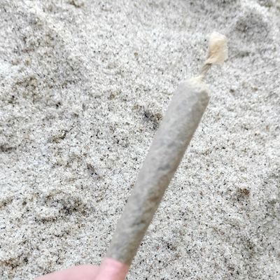 noxxlikescocks's profile picture. 