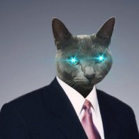 Tteok-Gu⚡️ (@tteok__gu) 's Twitter Profile