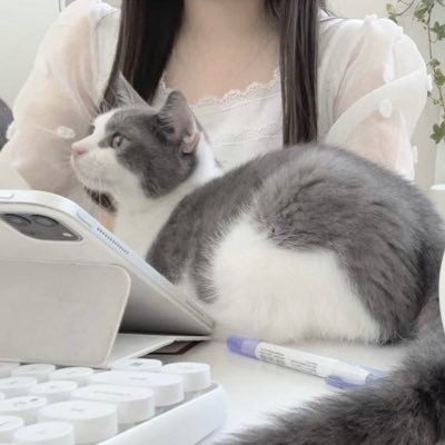 mi__studyroom's profile picture. 勉強垢🌸| 大学卒業しました🎓| 留学🇨🇦| 取得済:簿記三級・TOEIC780 |資格取得に向けて✐☡