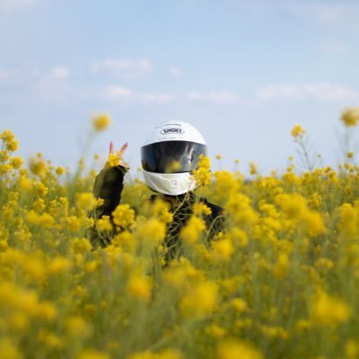 r__z1000's profile picture. 