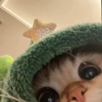 ππΈπΌπ± (@waddlespriv) 's Twitter Profile