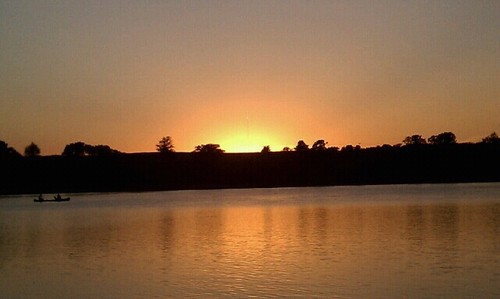 kwithcare's profile picture. 