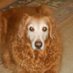 Bobby T (@rusty542492) Twitter profile photo Bobby T (@rusty542492) Twitter profile photo