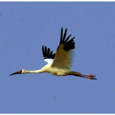 zhji154168's profile picture. 