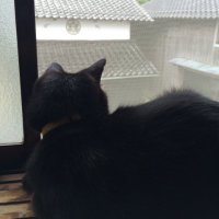 Hat Trick (@hattricklll) Twitter profile photo