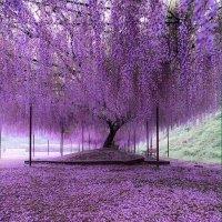 Underground Memerian (@undergroundgram) 's Twitter Profile