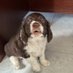 🐶 fugui(互关互fo) (@astayinei) Twitter profile photo 🐶 fugui(互关互fo) (@astayinei) Twitter profile photo