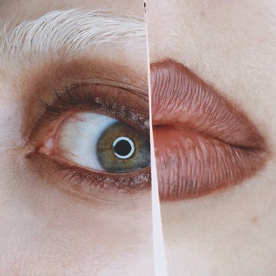 kbgagamonster's profile picture. Tap on my vein suck on my diamond blood.