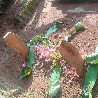 papan75305's profile picture. 