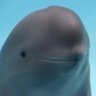 gnixk's profile picture. I'm 30 minutes old