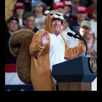 PatriciaRicher1's profile picture.