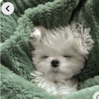 透明 (@10tr3_x) 's Twitter Profile
