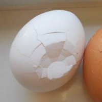 キミ⚪ (@mikakookaki) Twitter profile photo