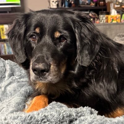 ChristyzCruzin's profile picture. 