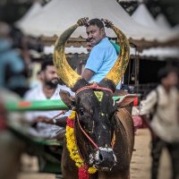 Himakiran (@anugula) 's Twitter Profile Photo Himakiran (@anugula) 's Twitter Profile Photo
