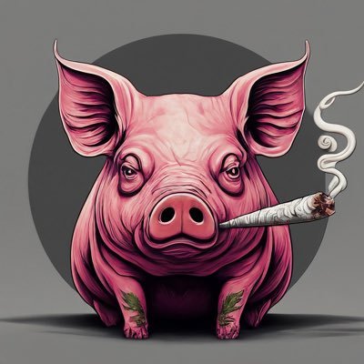 MichaelBrasso's profile picture. 