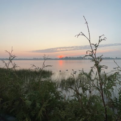 psykofps's profile picture. 