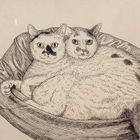 roundabout (@roundabout14120) 's Twitter Profile