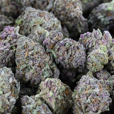 Sales Representative for DepKings | Top Tier Quality | Unbeatable Pricing | Unmatched Customer Service | Farm Direct | 21+ only 🔥💨