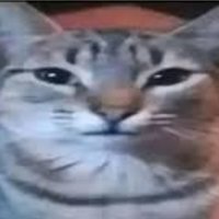 Rhythinsss! (@jakekaxd29987) 's Twitter Profile