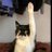 ℝekt𝔹idding (^=◕ᴥ◕=^) avatar
