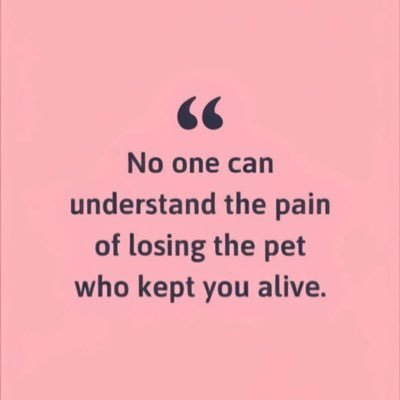 dark__wolf___'s profile picture. 