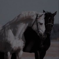 حمد العنزي (@hm_9v) Twitter profile photo