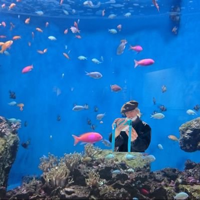 mygardenishere's profile picture. 日々ゆる～りと。ちょこっと名前変えました！藤井風さん好き！好きな色は真っ白。「好き」を垂れ流す。
無言フォロー＆いいね＆リプ失礼致します。逆は大歓迎🥰