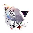 Aaron Busch - @bushey2010 - Twitter