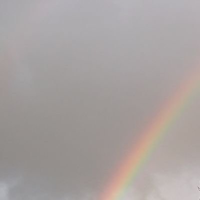 Tdw2UB6ioOgOGwI's profile picture. 通知offに設定してます

ﾘﾂｲｰﾄ多め

特に理由なくブロックしている時もあります