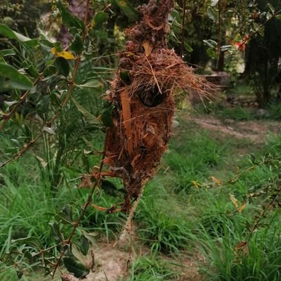 kames1458825252's profile picture. 