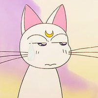 Zhu (@_otmanop) 's Twitter Profile