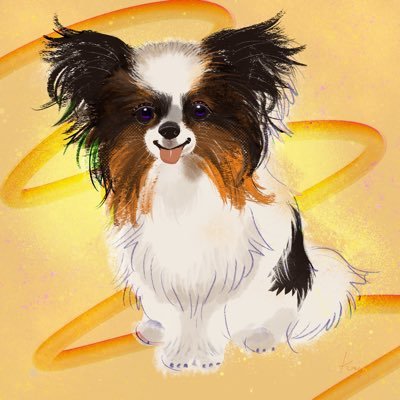 みんみさんのプロフィール画像