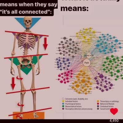 ninininabacha's profile picture. 