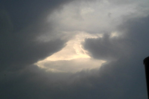 LakeErieMerman's profile picture. Beached Merman raising his pride and joy.Till the time is right. And he is no longer a boy.