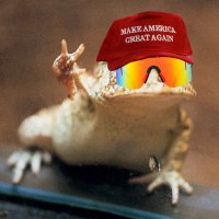 Jordan (@feelin_frog_e) 's Twitter Profile
